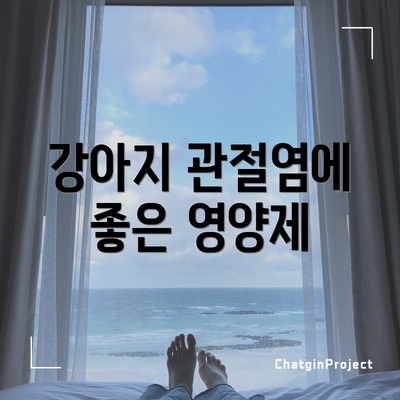 강아지 관절염에 좋은 영양제