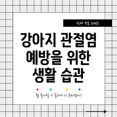 강아지 관절염 예방을 위한 생활 습관