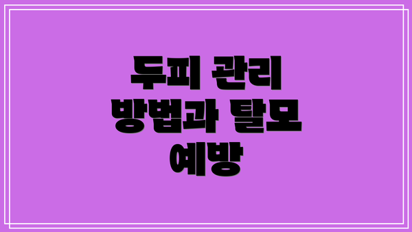 두피 관리 방법과 탈모 예방