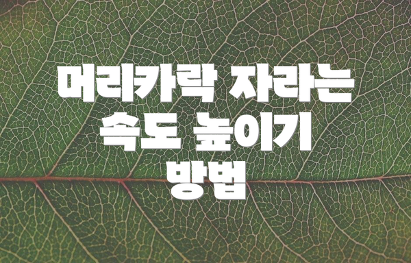 머리카락 자라는 속도 높이기 방법