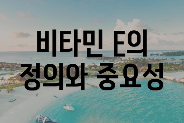 비타민 E의 정의와 중요성