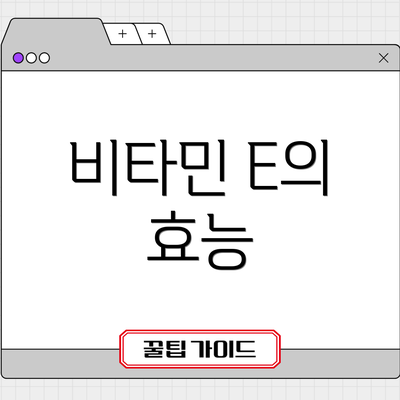 비타민 E의 효능