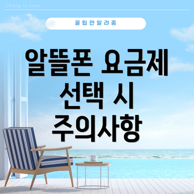 알뜰폰 요금제 선택 시 주의사항