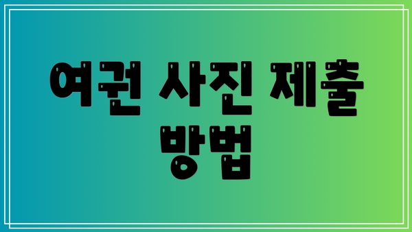 여권 사진 제출 방법