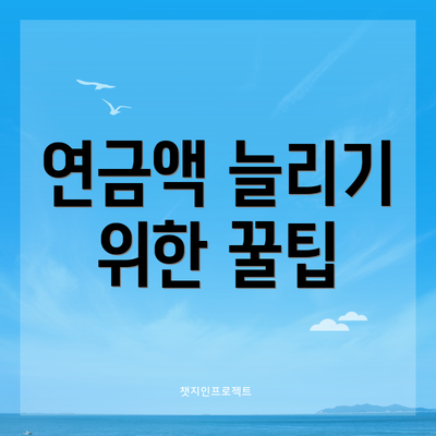 연금액 늘리기 위한 꿀팁