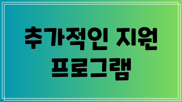추가적인 지원 프로그램
