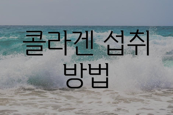 콜라겐 섭취 방법