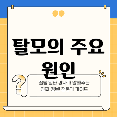 탈모의 주요 원인