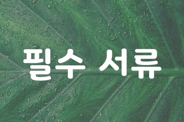 필수 서류