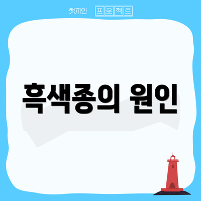 흑색종의 원인