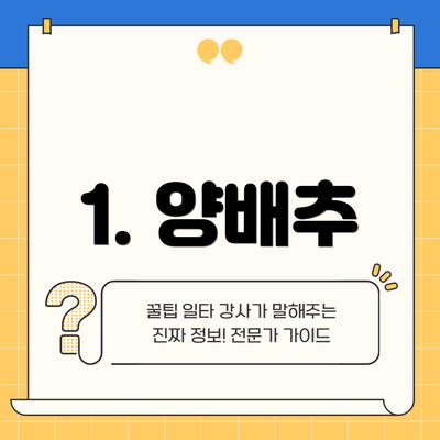 1. 양배추