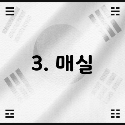 3. 매실