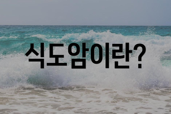 식도암이란?