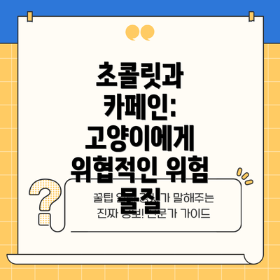 초콜릿과 카페인: 고양이에게 위협적인 위험 물질