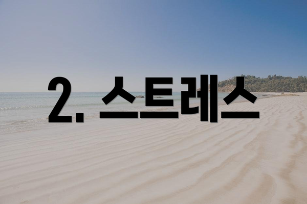 2. 스트레스