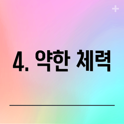 4. 약한 체력