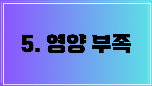 5. 영양 부족