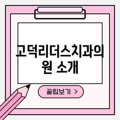 고덕리더스치과의원 소개