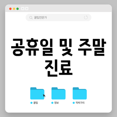 공휴일 및 주말 진료