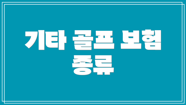 기타 골프 보험 종류
