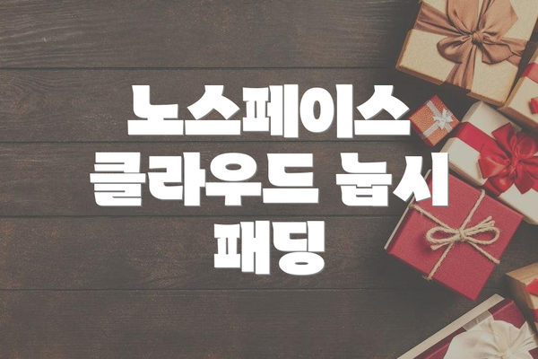 노스페이스 클라우드 눕시 패딩