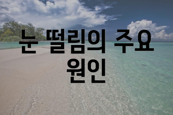 눈 떨림의 주요 원인