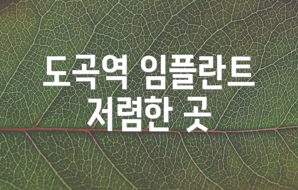 도곡역 임플란트 저렴한 곳