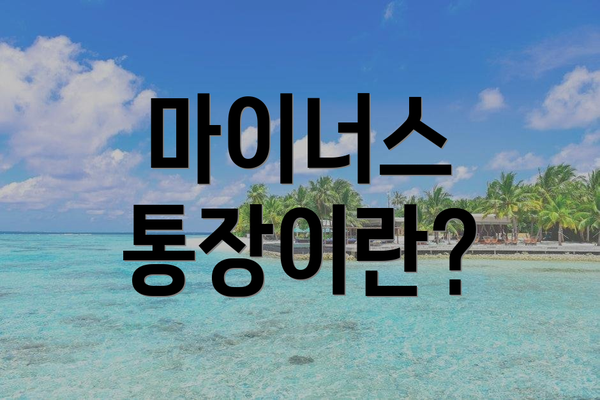마이너스 통장이란?