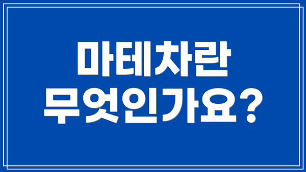 마테차란 무엇인가요?