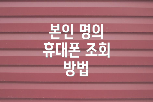 본인 명의 휴대폰 조회 방법