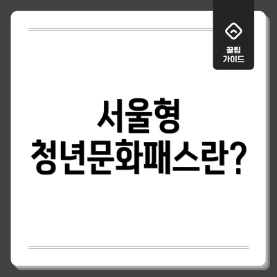 서울형 청년문화패스란?