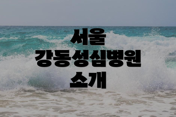 서울 강동성심병원 소개