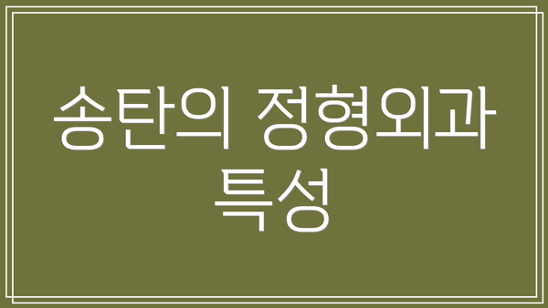 송탄의 정형외과 특성