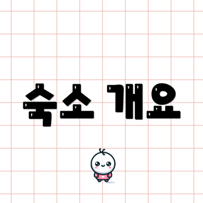 숙소 개요
