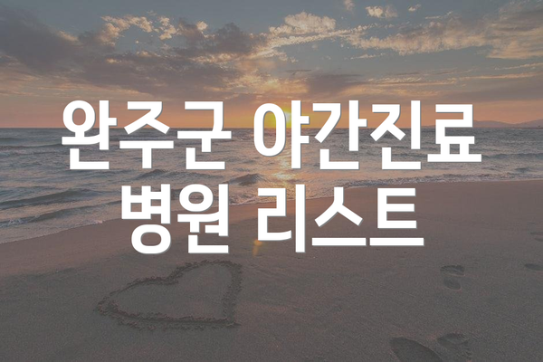 완주군 야간진료 병원 리스트