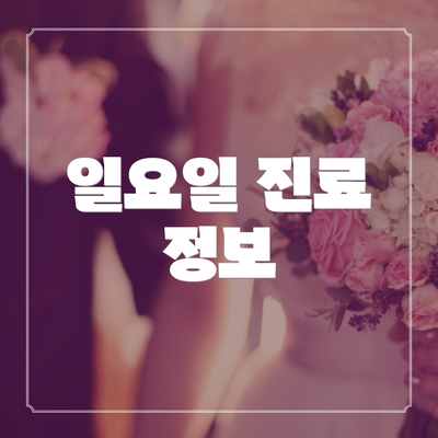 일요일 진료 정보