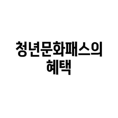청년문화패스의 혜택