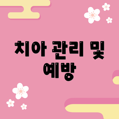 치아 관리 및 예방
