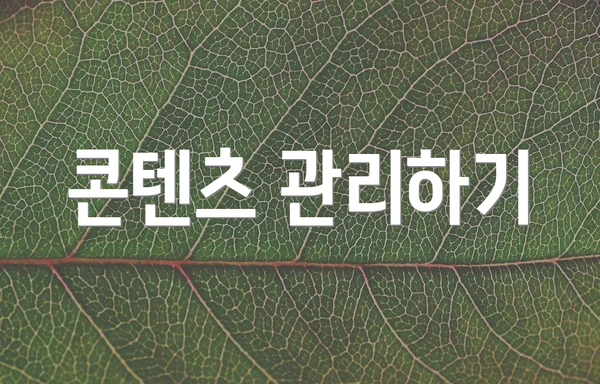 콘텐츠 관리하기