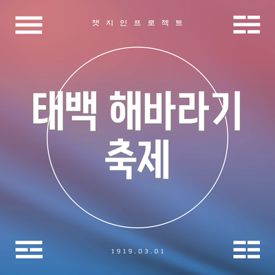 태백 해바라기 축제