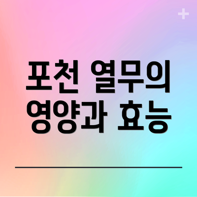 포천 열무의 영양과 효능