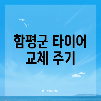 함평군 타이어 교체 주기