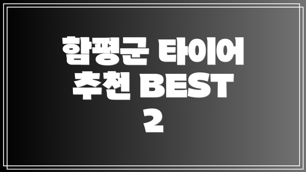 함평군 타이어 추천 BEST 2