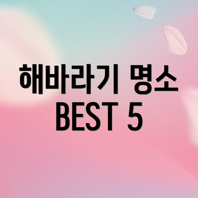해바라기 명소 BEST 5