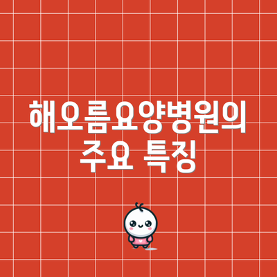 해오름요양병원의 주요 특징