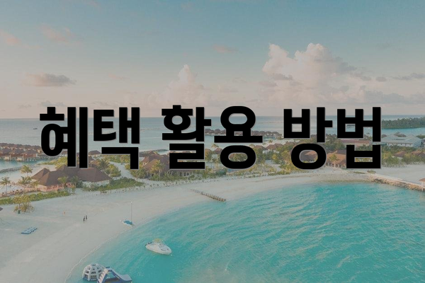 혜택 활용 방법