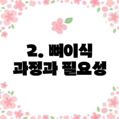 2. 뼈이식 과정과 필요성