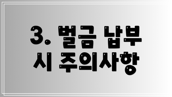 3. 벌금 납부 시 주의사항